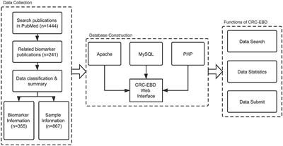 CRC-EBD: Epigenetic Biomarker Database for Colorectal Cancer